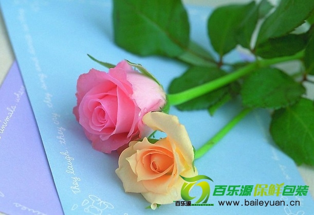 鮮花保鮮