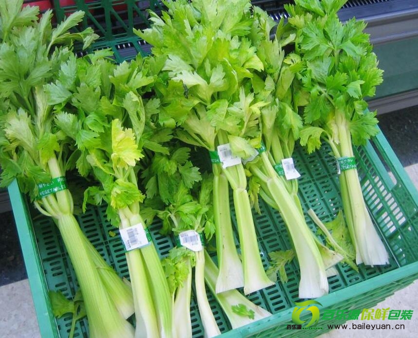 吃芹菜殺精嗎？