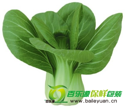 新鮮油菜買回家怎么保鮮？
